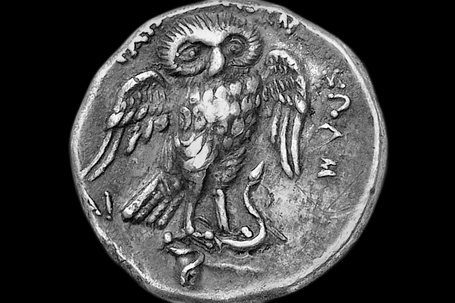 Owl