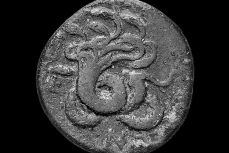 Lernean Hydra