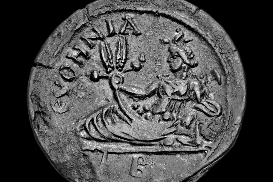 Euthenia