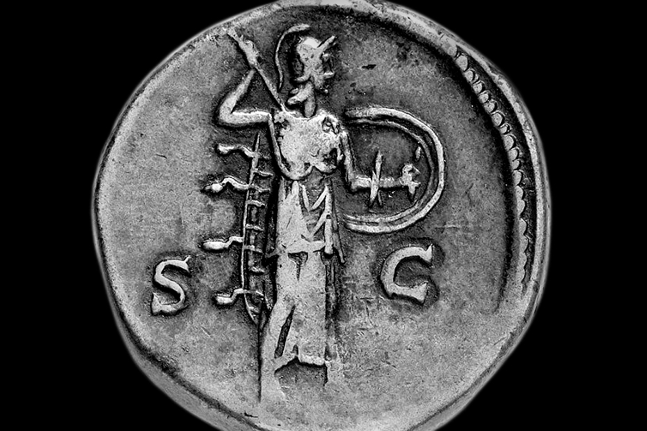 Aegis-Bearer: Minerva